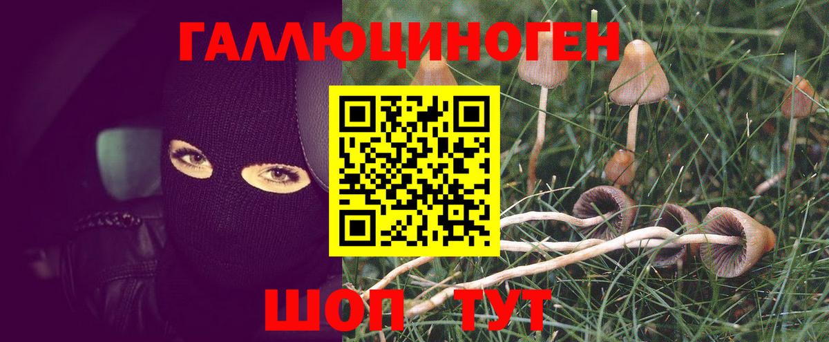 Донской  Галлюциногенные грибы Psilocybe  Вход с VPN  Галлюциногенные грибы Psilocybe 